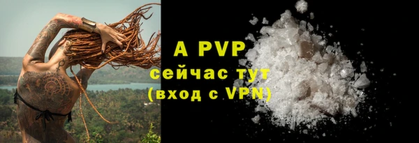 гидра Рославль