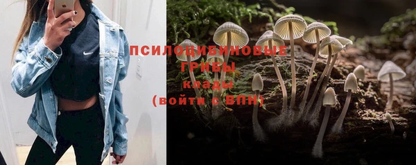 гидра Бугульма