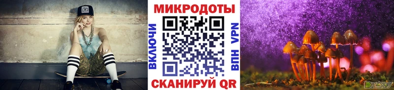дарнет шоп  Кировск  Галлюциногенные грибы Psilocybe 