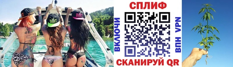 Бошки Шишки индика  Кировск 
